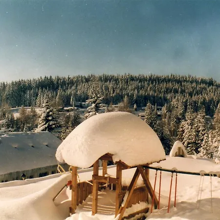 Appart Julia Aparthotel Schoenwald im Schwarzwald