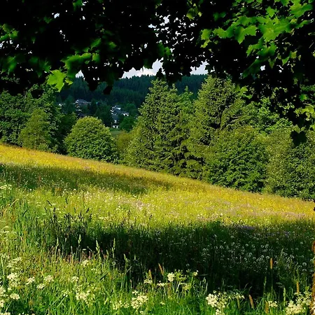 Appart Julia Schoenwald im Schwarzwald